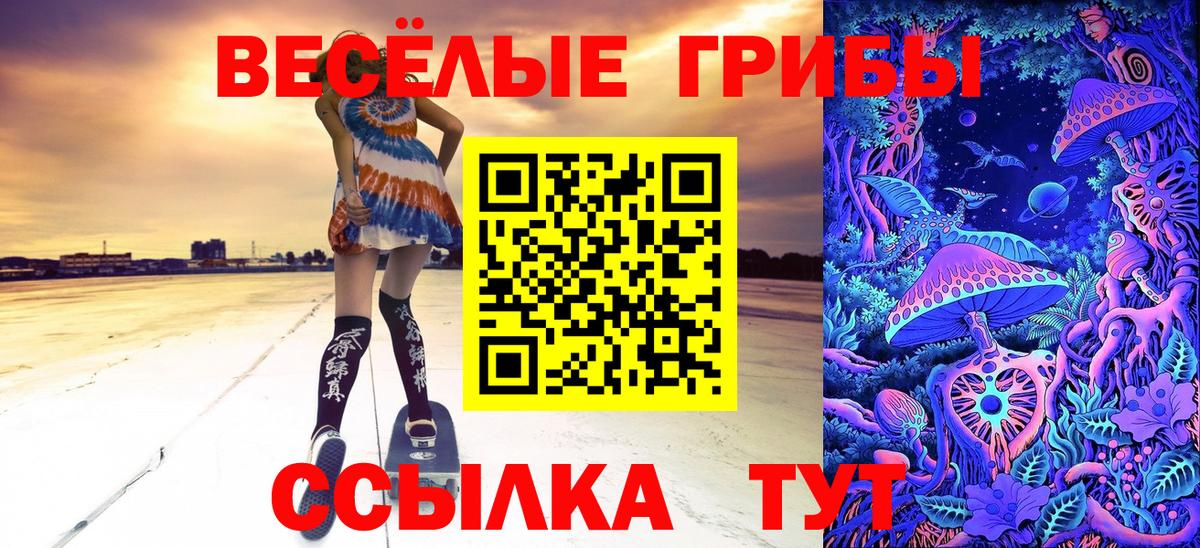 Коряжма  Псилоцибиновые грибы ЛСД  Вход с VPN 